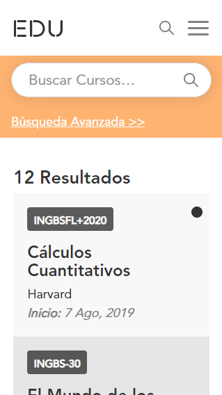 Mobile view of website