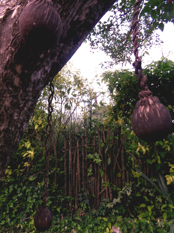nature