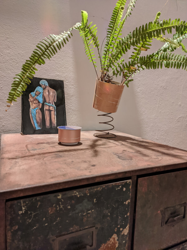plant + photo