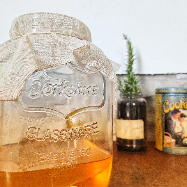 Kombucha in process
