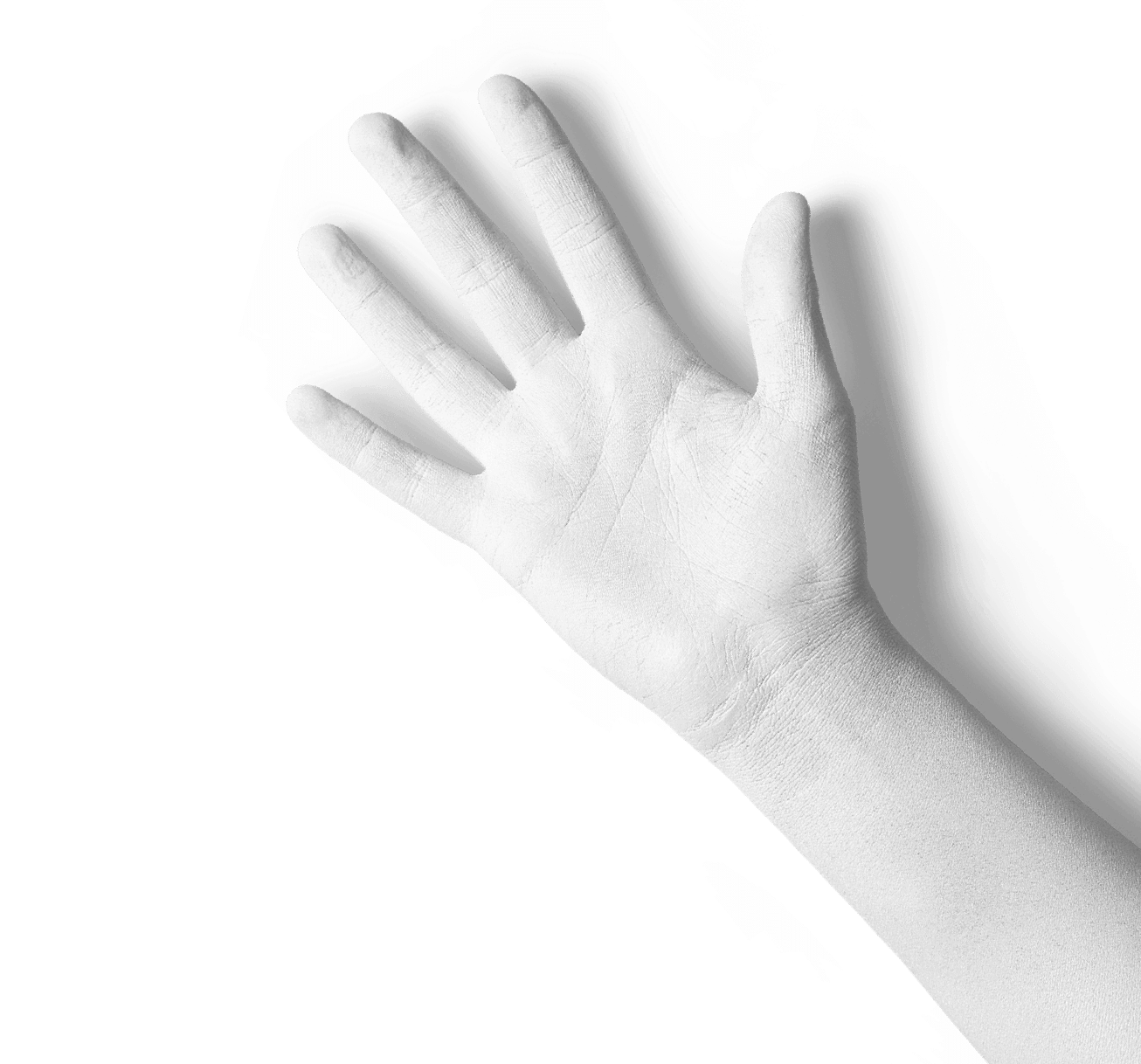 A white palm hand