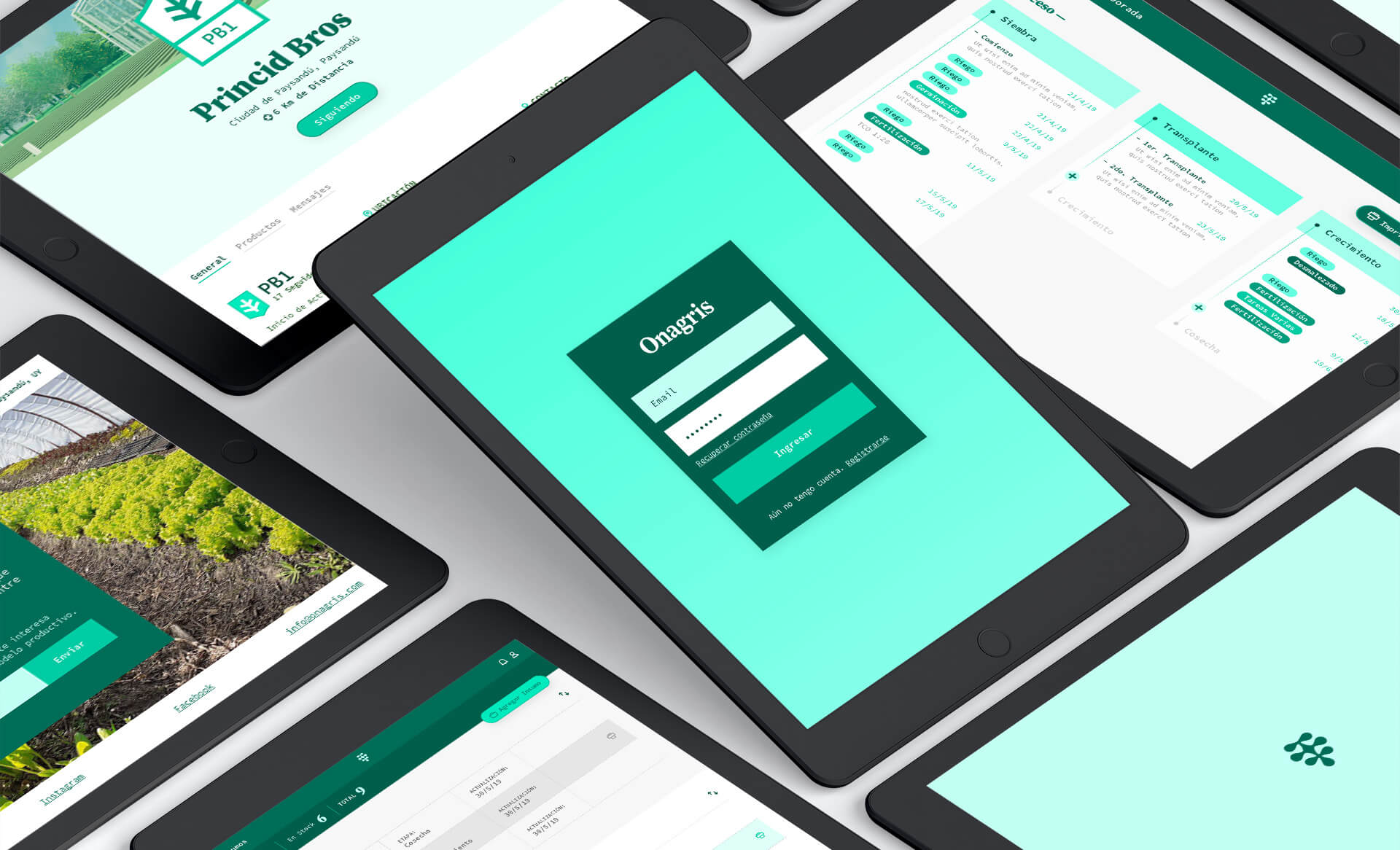 Onagris Small Feed